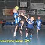 Jihočeské házenkářské naděje se sjely do Písku