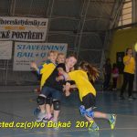Jihočeské házenkářské naděje se sjely do Písku
