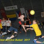 Jihočeské házenkářské naděje se sjely do Písku