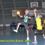 Jihočeské házenkářské naděje se sjely do Písku