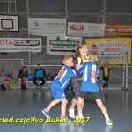 Jihočeské házenkářské naděje se sjely do Písku