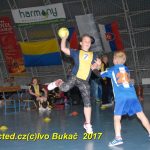 Jihočeské házenkářské naděje se sjely do Písku