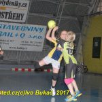Jihočeské házenkářské naděje se sjely do Písku