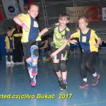 Jihočeské házenkářské naděje se sjely do Písku