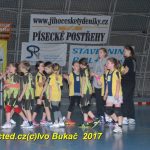 Jihočeské házenkářské naděje se sjely do Písku