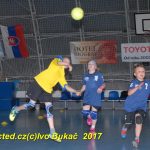 Jihočeské házenkářské naděje se sjely do Písku