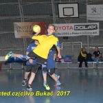 Jihočeské házenkářské naděje se sjely do Písku