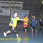 Jihočeské házenkářské naděje se sjely do Písku