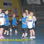 Jihočeské házenkářské naděje se sjely do Písku