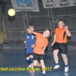 Jihočeské házenkářské naděje se sjely do Písku