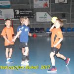 Jihočeské házenkářské naděje se sjely do Písku