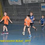 Jihočeské házenkářské naděje se sjely do Písku