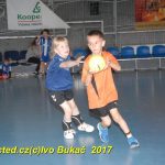 Jihočeské házenkářské naděje se sjely do Písku