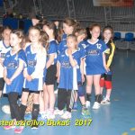 Jihočeské házenkářské naděje se sjely do Písku