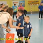 Jihočeské házenkářské naděje se sjely do Písku