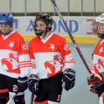 Hokejbalový titul v Milevsku obhájila pražská Slavia. Tak trochu bez zájmu fanoušků…
