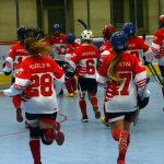 Hokejbalový titul v Milevsku obhájila pražská Slavia. Tak trochu bez zájmu fanoušků…