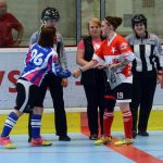 Hokejbalový titul v Milevsku obhájila pražská Slavia. Tak trochu bez zájmu fanoušků…