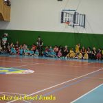 Tygřice ovládly domácí turnaj bez ztráty kytičky