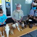 Bambi 2017 je na Táborsku v plném proudu. Přidány i fotky ze Soběslavi