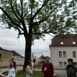 Soběslavští v anketě rozhodovali o podobě hradního nádvoří