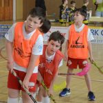 V Milevsku dnes odstartoval dvoudenní florbalový Dragon cup