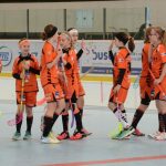 V Milevsku dnes odstartoval dvoudenní florbalový Dragon cup