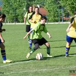 Hradišťanky se rozloučily se sezonou a s fanoušky remízou