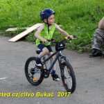 Kolečkový den v Milevsku přilákal malé i velké