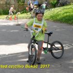 Kolečkový den v Milevsku přilákal malé i velké