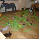 Školy připravily dárek k oslavám svého města