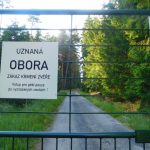 Lidé mohou chodit do obory na houby. Schwarzenberská obora ale usiluje o zákaz