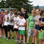 Hradiště hostilo turnaj Okresního fotbalového svazu Písek