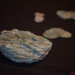 Archeologové jásají. Na jaře se na Písecku našly dva poklady