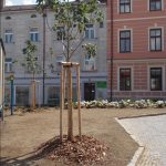 Jindřichohradečtí zrevitalizovali Husovy sady
