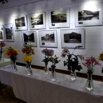Kvetoucí lilie provoněly Galerii Spektrum