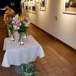 Kvetoucí lilie provoněly Galerii Spektrum