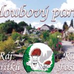 Kam na výlet? Chcete vidět konečně houby? Zamiřte do Houbového Parku. Uvidíte i skřítky v akci