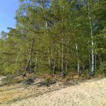 Tropy vrcholí! U Veselí si zaplavete do sytosti