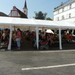 Strakonice pokračují v oslavách. Dnes například s Mou vlastí nebo Adamem Mišíkem