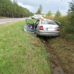 Laň proletěla čelním sklem a těžce zranila řidiče