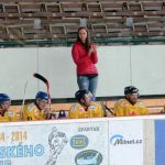 Božetice v přípravě těsně podlehly jesenickým Hipporiders
