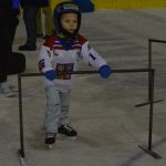 Vyzkoušet hokej si přišlo více jak padesát dětí