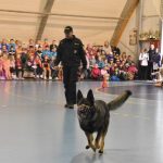 Nábor házené se vydařil, dorazilo více jak 500 dětí