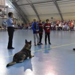 Nábor házené se vydařil, dorazilo více jak 500 dětí