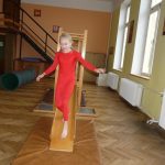 Pořád máme sokolské srdce aneb Noc sokoloven ve Strakonicích