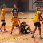 Minižáci házené z Milevska bojovali v Jindřichově Hradci