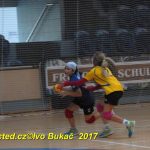 Minižáci házené z Milevska bojovali v Jindřichově Hradci