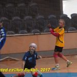 Minižáci házené z Milevska bojovali v Jindřichově Hradci
