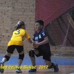 Minižáci házené z Milevska bojovali v Jindřichově Hradci